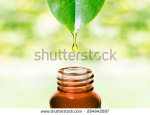 stock-photo-herbal-essence-alternative-healthy-medicine-skin-care-essential-oil-or-water-dropping-from-fresh-284842097